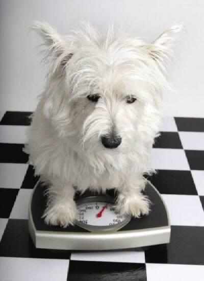 It's vital to prevent gradual weight gainsmall changes can have a big impact over time.