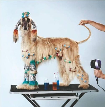 NestlÃ© Purina's ad campaign for Alpo carries some risks, considering humanization and pampering comprise the top trend driving the petfood market.