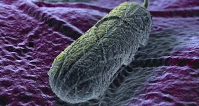 We are what we eat but are microbes also indicative of where we’ve been?
