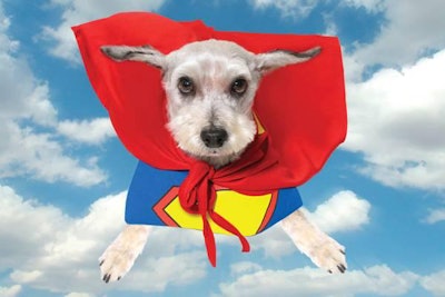 Dog Superfoods 1503 Pe Tsuperfoods
