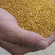 A slowdown of ethanol production can signal a smaller supply of DDGS
