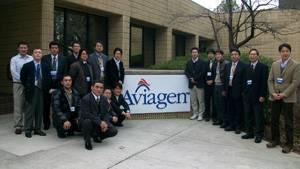 1003 P Iaviagen
