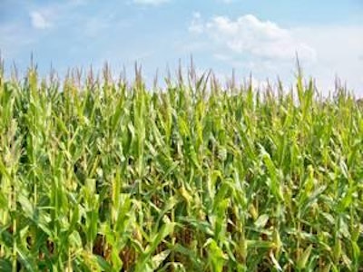 1101 F Mcornprice