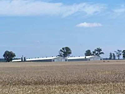 State-of-the-art GP facilities, including rearing and laying farms, located near Poznan, Western Poland, built following an agreement between BroMargo and Aviagen.