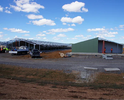 Construction of Aviagen Farms progresses at Gouldburn, Australia.