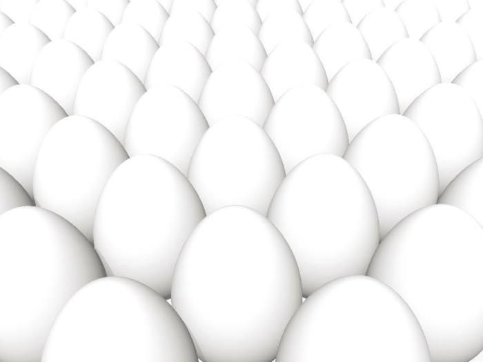 Bigstockphoto Easter Co Opt