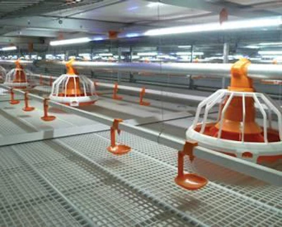 Big Dutchman's Avimax 160 sliding colony system