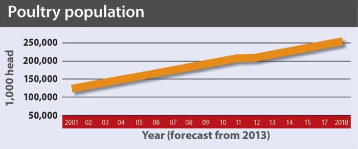 The rate of expansion in the Nigerian poultry flock is forecast to increase.
