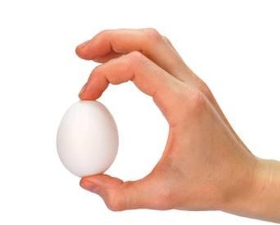 Photo by nopow | iStockPhoto.com | The outermost layer of shell is the cuticle which helps to protect the egg from bacterial invasion.
