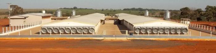 A new Cobb great grandparent farm in Itapagipe, Minas Gerais, is part of the Cobb-Vantress Brasil expansion effort.