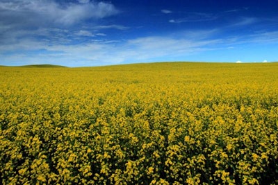 The Canola Council of Canada