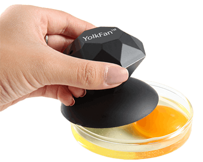 DSM-Nutritional-Products-Digital-YolkFan