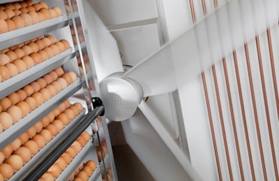 Country Bird Holdings is investing in a hatchery for Nigeria's Valentine's Chicken. | Pas Reform