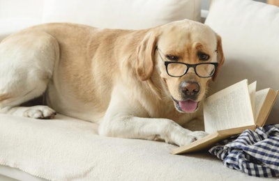 (YakobchukOlena | Bigstock.com)