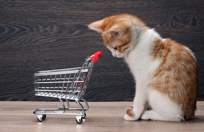 photo by kozorog | BigStockPhoto