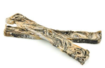 barkworthies-salmon-skin