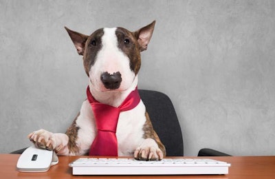 (Minerva Studio, BigStock.com)