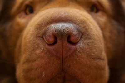 Photo by taknote | BigStockPhoto