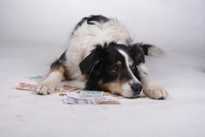(Monkle | Bigstock.com)