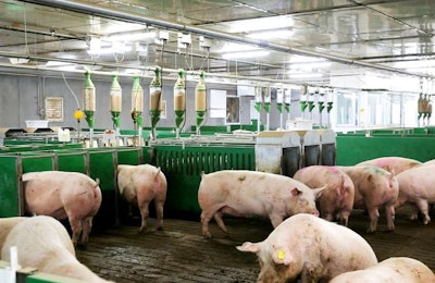 Photo courtesy of Maximum Ag Technologies