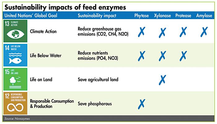 Four key animal feed enzymes assist in meeting four of the UN's Global Goals for Sustainable Development.| Novozymes