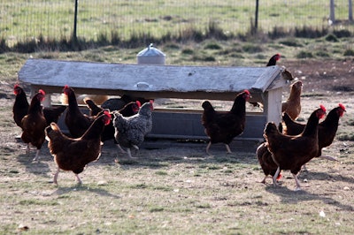 Pet owners may be more willing to pay a premium price for products using meat from animals raised to supposedly higher welfare standards. l Andrea Gantz