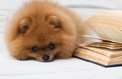 photo by Fleur-k | BigStockPhoto