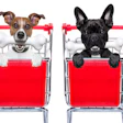 (Javier Brosch | Bigstock.com)