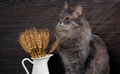 photo by kozorog | BigStockPhoto