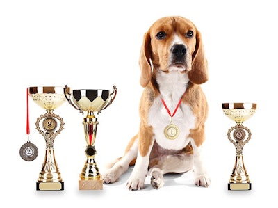 photo by Yastremska, Bigstock.com