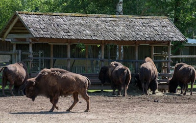 image by DMPhoto | BigStockPhoto