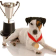 image by Willee Cole, BigStockPhoto