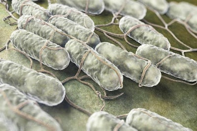 LexxIam | BigStockPhoto.com