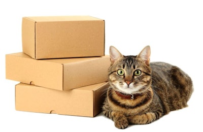 (5 second | BigStock.com)