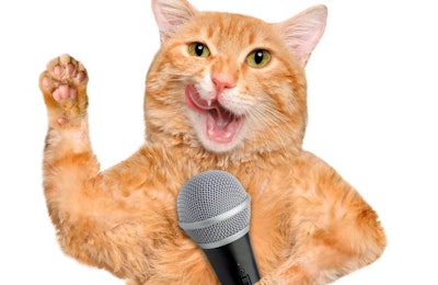 (Rasulov | BigStock.com)