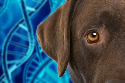 Photo courtesy of Mars Petcare