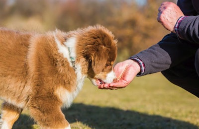 photo by Christian Mueller, shutterstock.com