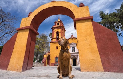 A tourist's dog sits outside a church in Bernal, Queretaro, Mexico. | (Quasarphoto | BigStock.com)