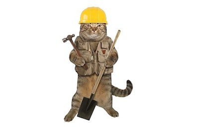 image by iridi | BigStock.com