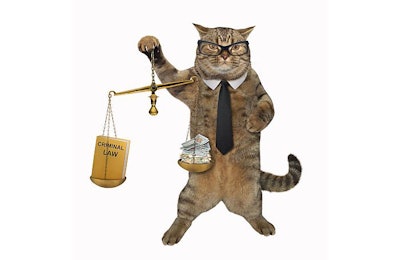 (Iridi | BigStock.com)
