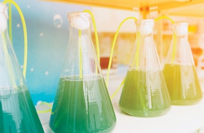 greenleaf123 | iStock.com