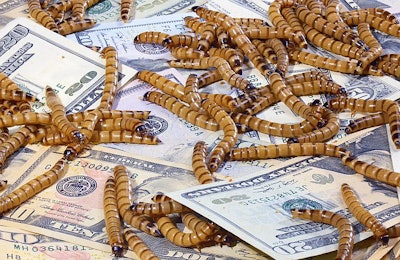 (Hamsterman , BigStock.com)