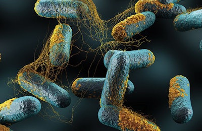 clostridium-perfringens