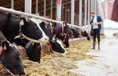 enzymes-in-dairy-feed