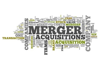 Word Cloud Merger & Acquisitions