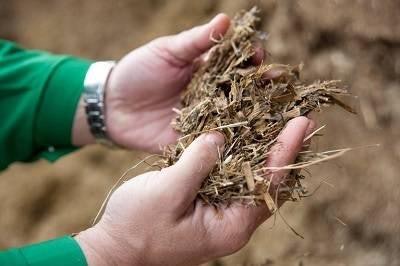 silage-mycotoxin-prevention1309FIIngredients