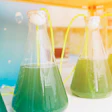 algae-for-animal-feed