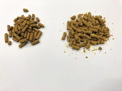 pellet-quality-in-broiler-feed.jpg