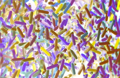 The human microbiome is an area of increasing interest and study, and that research has expanded into the companion animal sphere. (ChrisChrisW | iStockPhoto.com)
