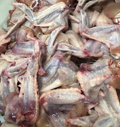 Wing bruising and breakage can lead to a significant yield loss. (Mike Casto | Cobb-Vantress)